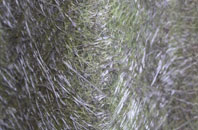 Tresamble fibreglass roof work